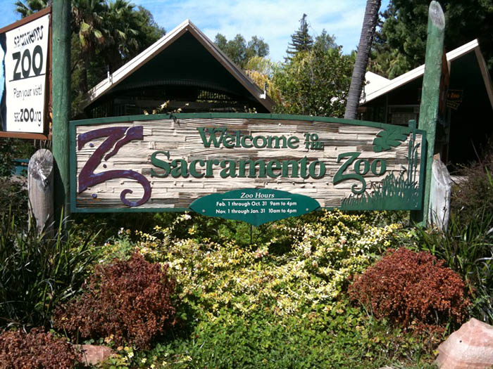 sacramento-zoo